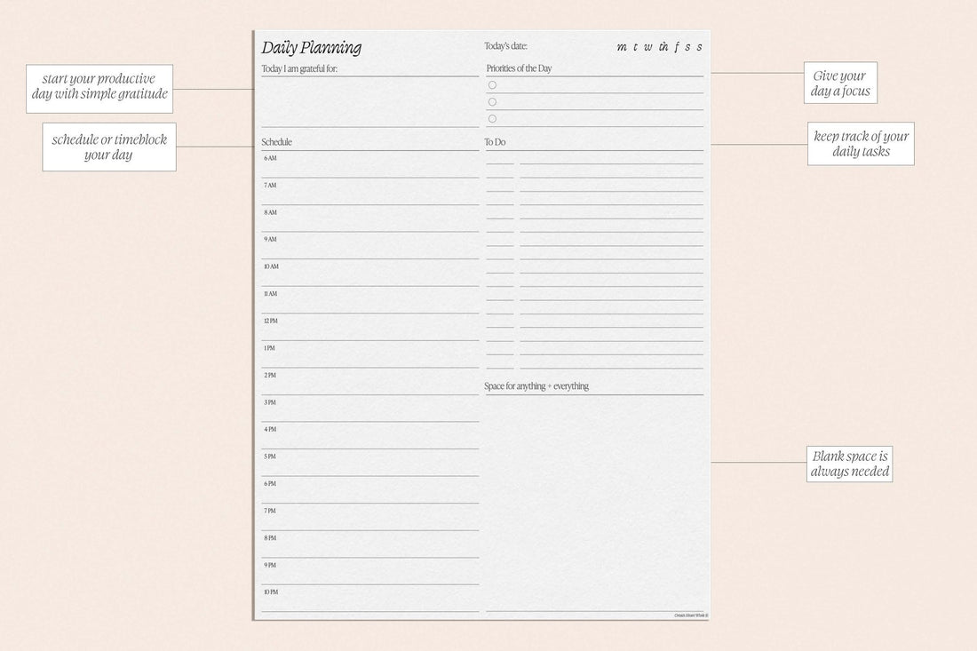 Essentials Daily Pad